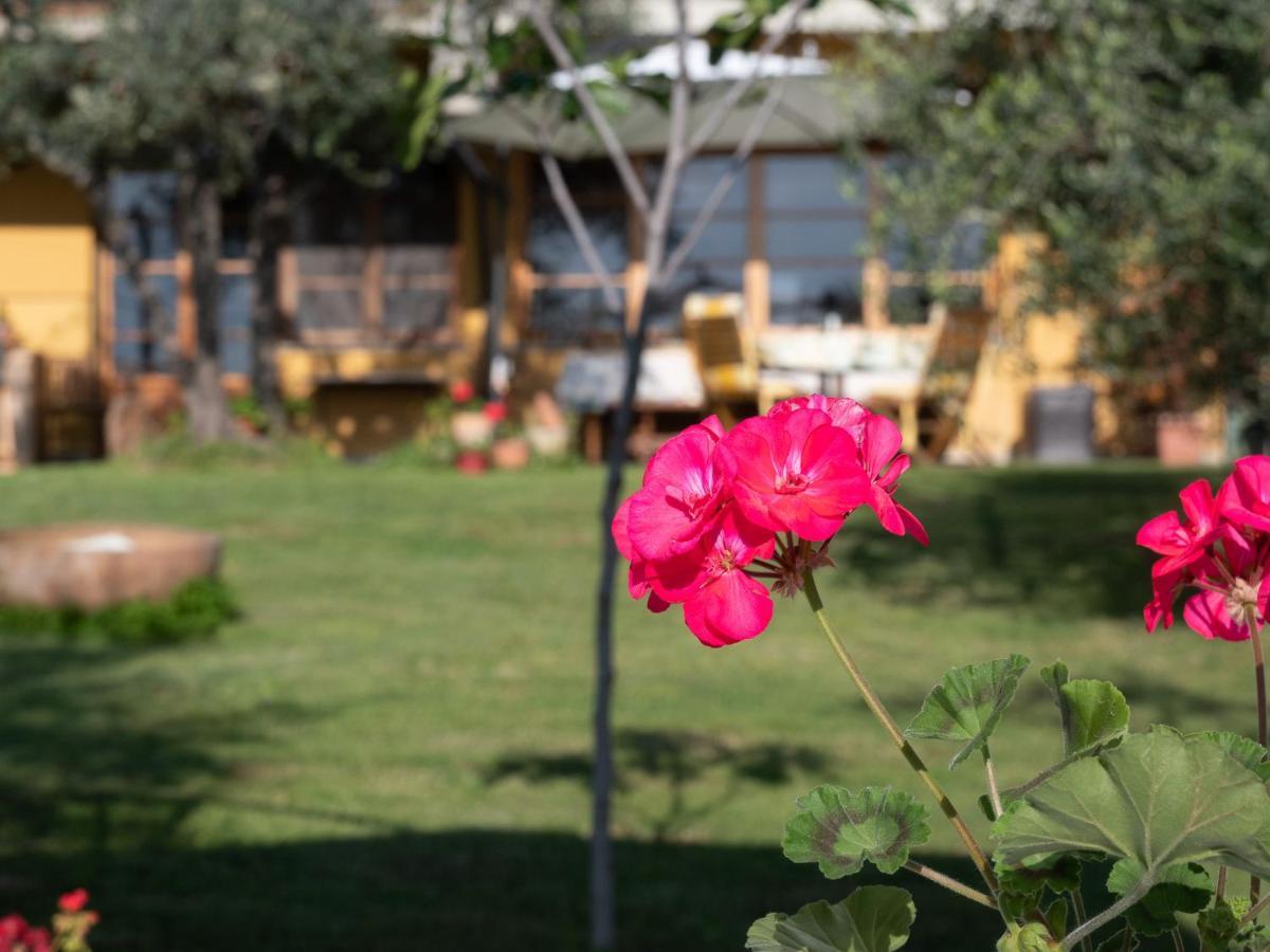 B&B Casa Decimo Greve in Chianti Exteriér fotografie